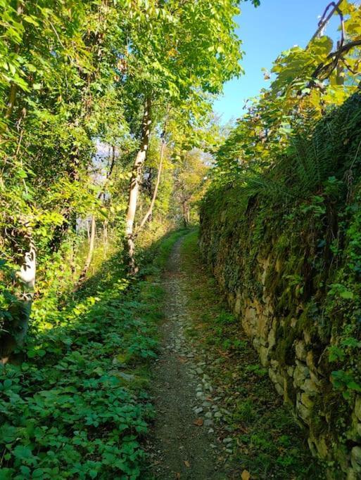 ليتْسّينو Private Room Near Bellagio View Lake Como المظهر الخارجي الصورة